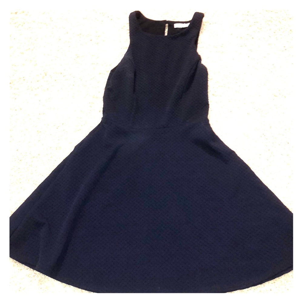 Socialist Navy blue Dress